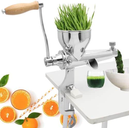 The Best Manual Single Auger Masticating Juicers - Entry Juicer Options